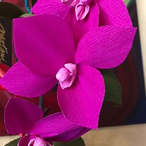 Meet your Posher, Anahi